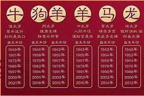 2025年生肖|2025年属什么生肖 2025年的生肖是什么